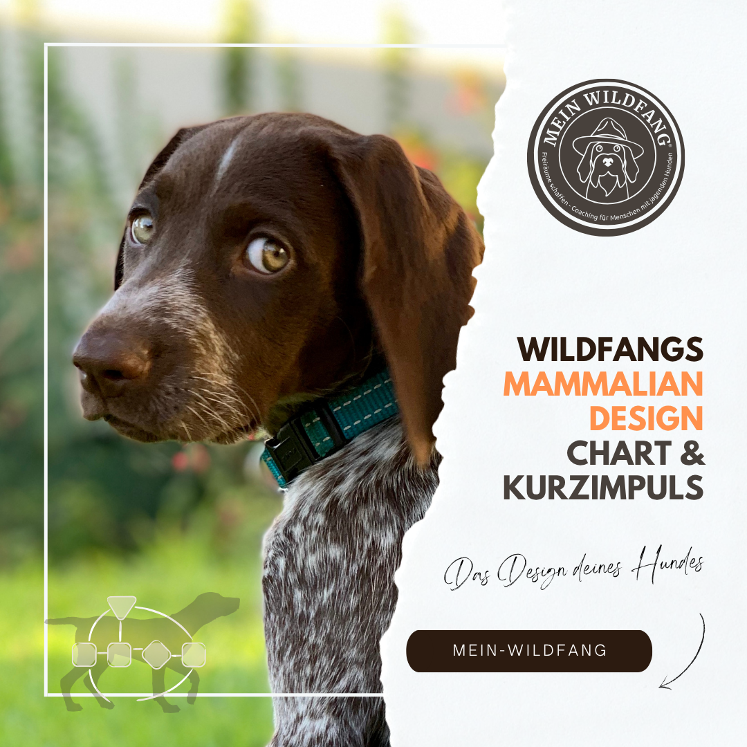 Produktbilder Elopage (2)-1080x1080.png