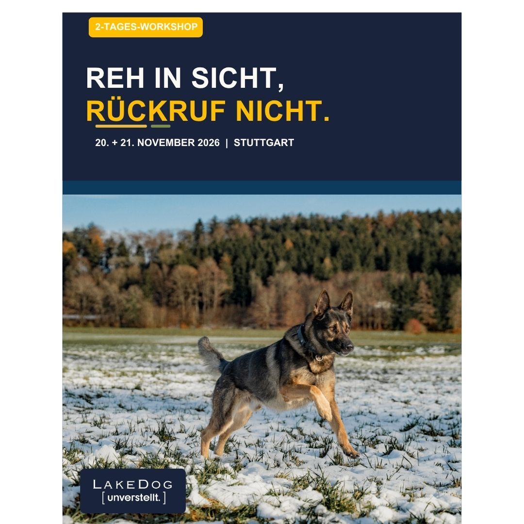 Workshop Reh in Sicht, Rückruf nicht(1)-1080x1080.jpg