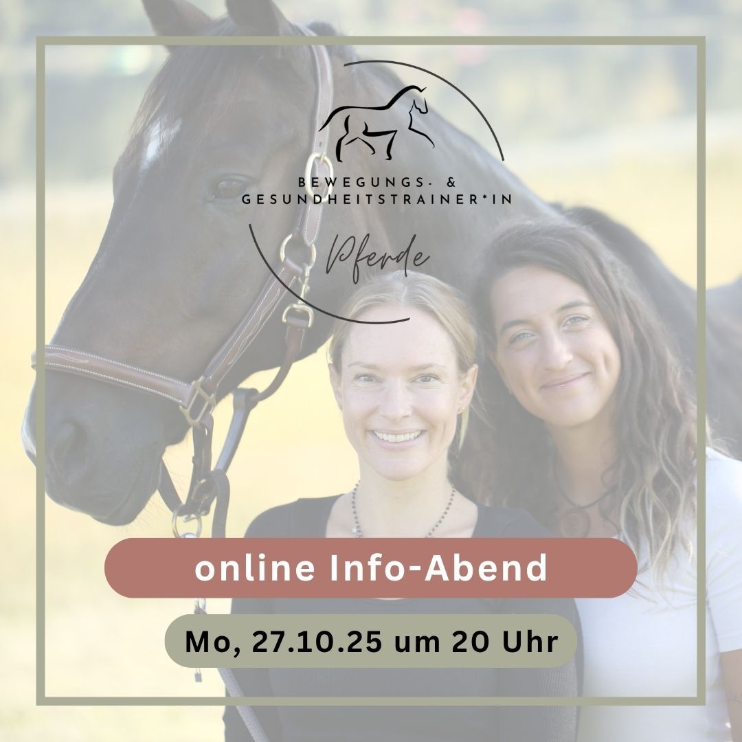 Kopie von Ad Creatives Meli & Jessi (2)-1080x1080.jpg