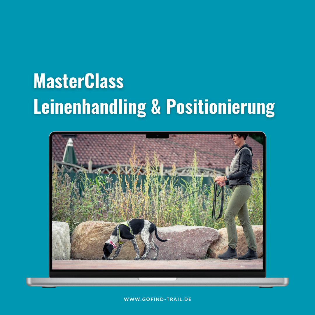 gofind_masterclass_leinenhandling-1080x1080.png