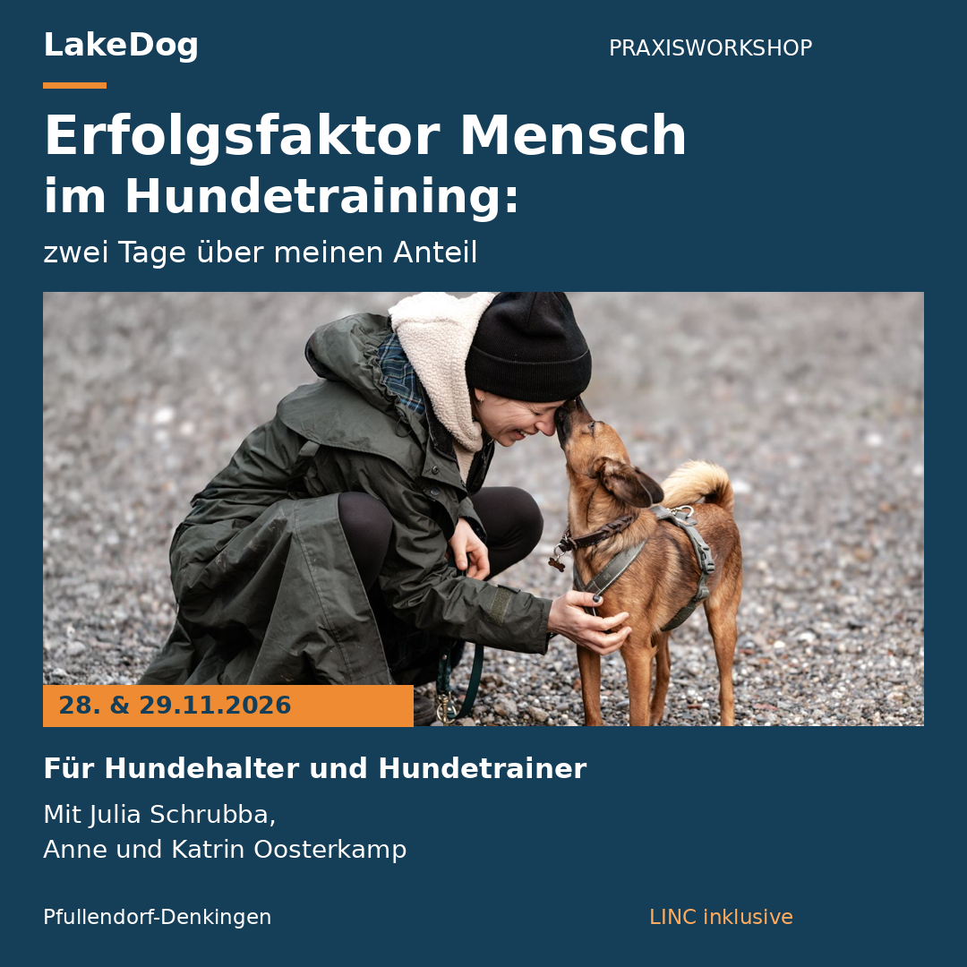 Ablefy_Erfolgsfaktor_Mensch_1080-1080x1080.png