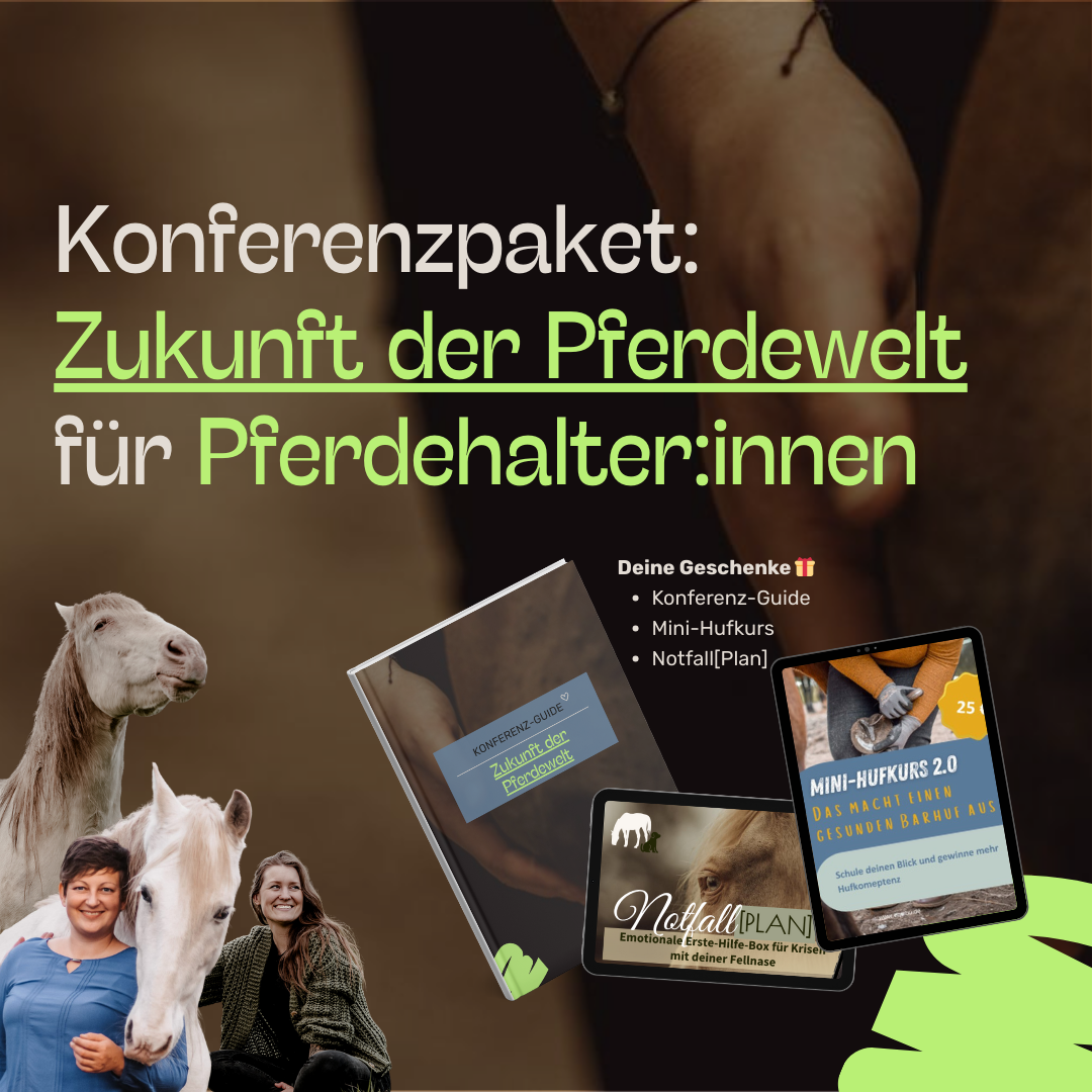 Konferenzpaket Produktfoto-1080x1080.png