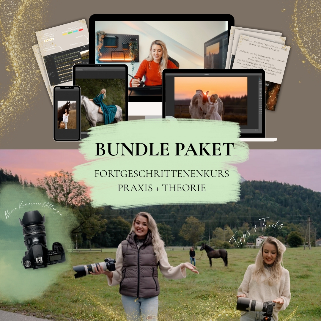 Onlinekurs Fortgeschrittenen-1080x1080.jpg