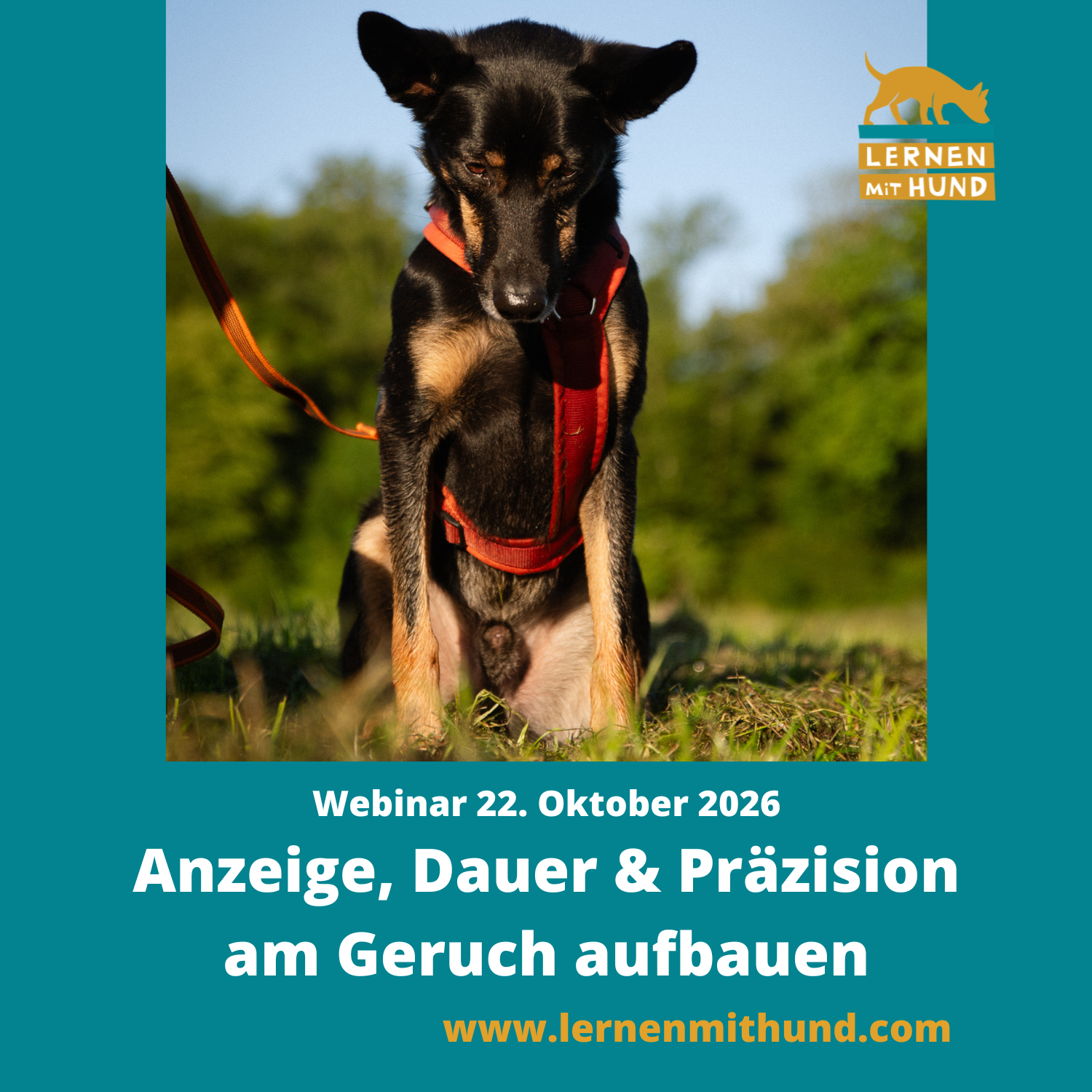 Webinar Anzeige am Zielgeruch-1500x1500.png