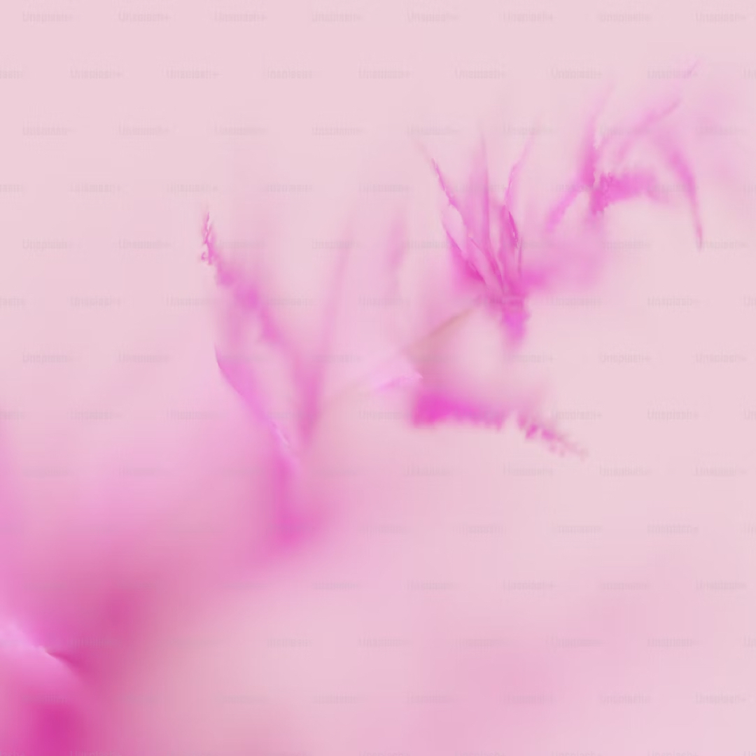 Banner für Infinite You