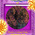 digital-icon