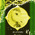 digital-icon
