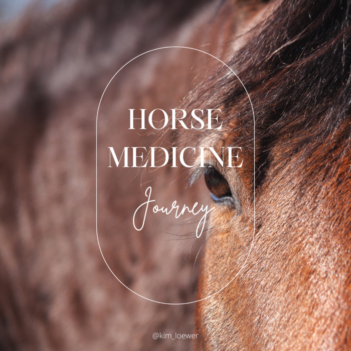 HORSE MEDICINE Journey kimloewer elopage