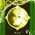 digital-icon
