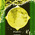 digital-icon
