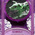 digital-icon