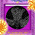 digital-icon