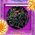 digital-icon