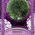 digital-icon