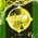 digital-icon