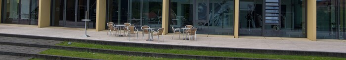 loaded_image
