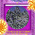 digital-icon