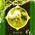 digital-icon