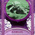 digital-icon