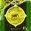 digital-icon