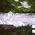 digital-icon