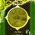 digital-icon