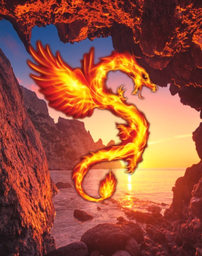 das-herz-der-drachen-die-verbindung-mit-den-h-tern-der-neuen-erde