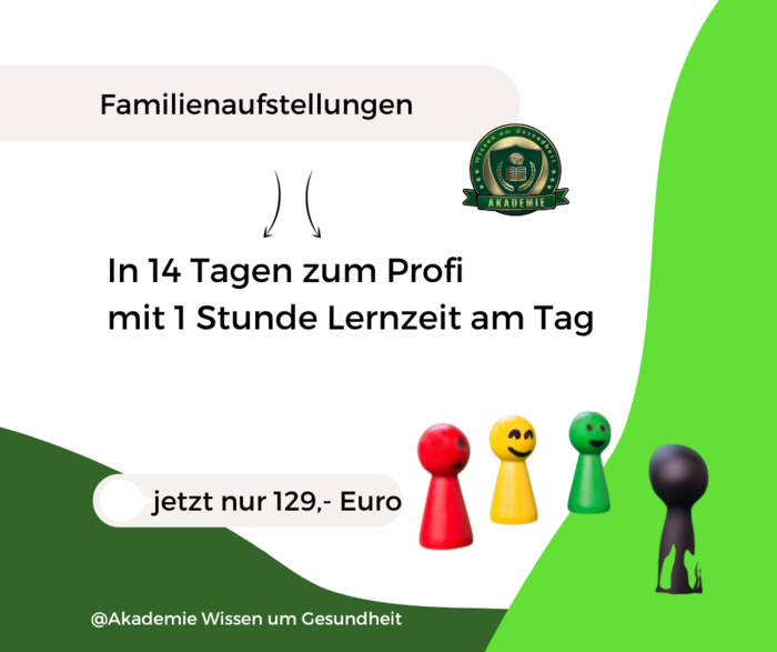 Familienaufstellungen leiten. In 14 Tagen zum Profi mit nur 1 Stunde Lernzeit am Tag.