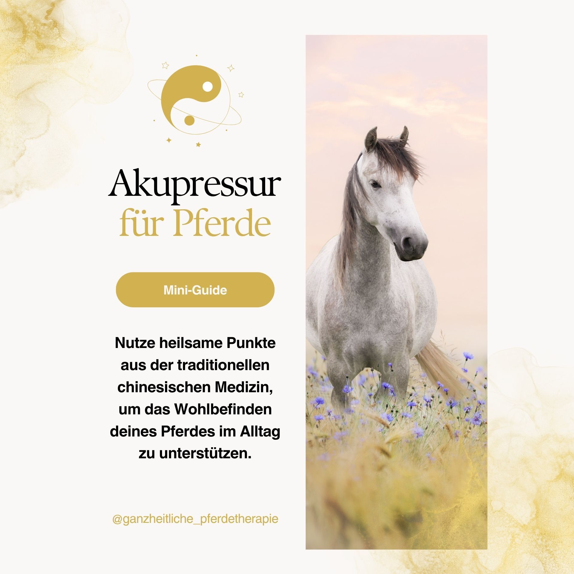 Mini Guide Akupressur (1920 x 1920 px)-1920x1920.jpg