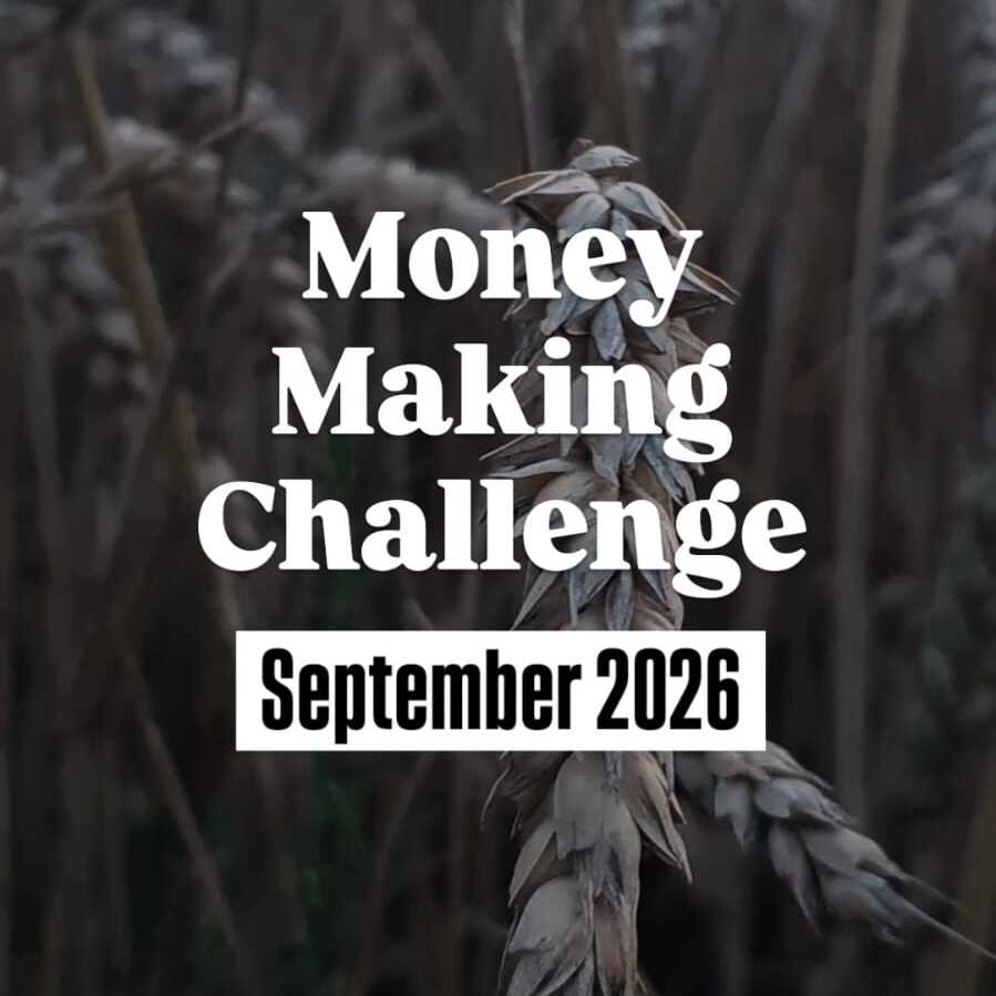 Money Making Challenge 09 2026-899x899.jpeg