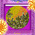 digital-icon