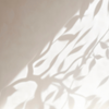 Titelbild STIMME & ATEM