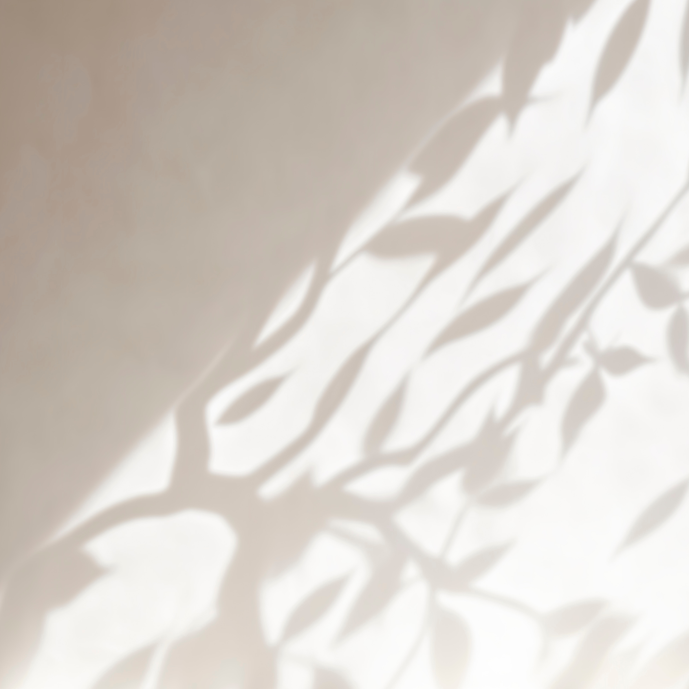 Titelbild STIMME & ATEM