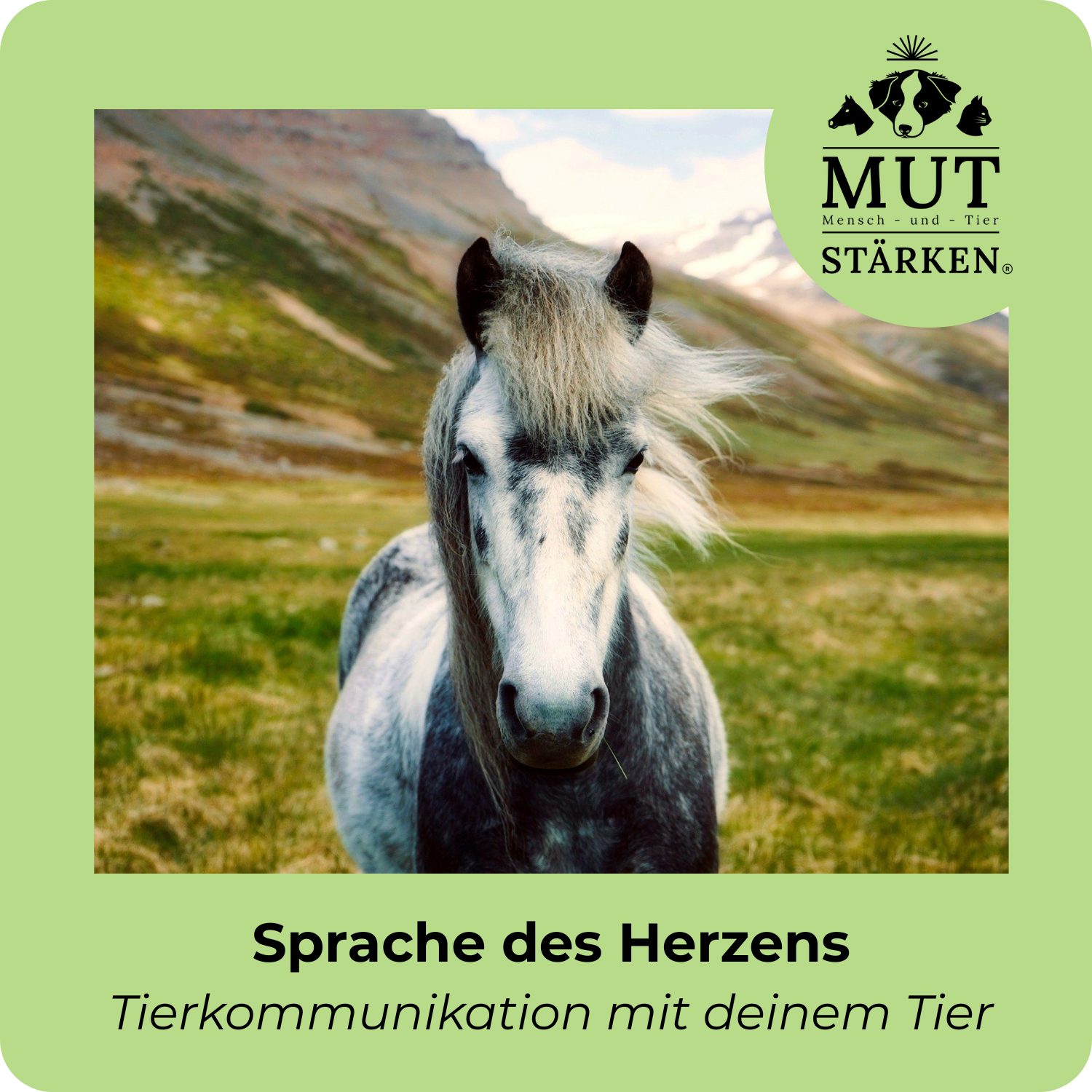 Tierkommunikation-1500x1500.png