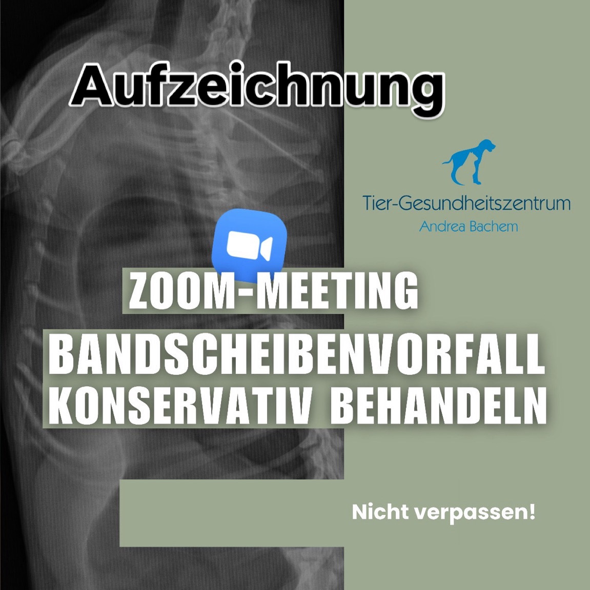 Bandscheibenvorfall  Konservativ Behandeln 