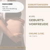 MIT GEBURTSWISSEN ZUR GEBURTSVORFREUDE / ONLINE (LIVE) KURS