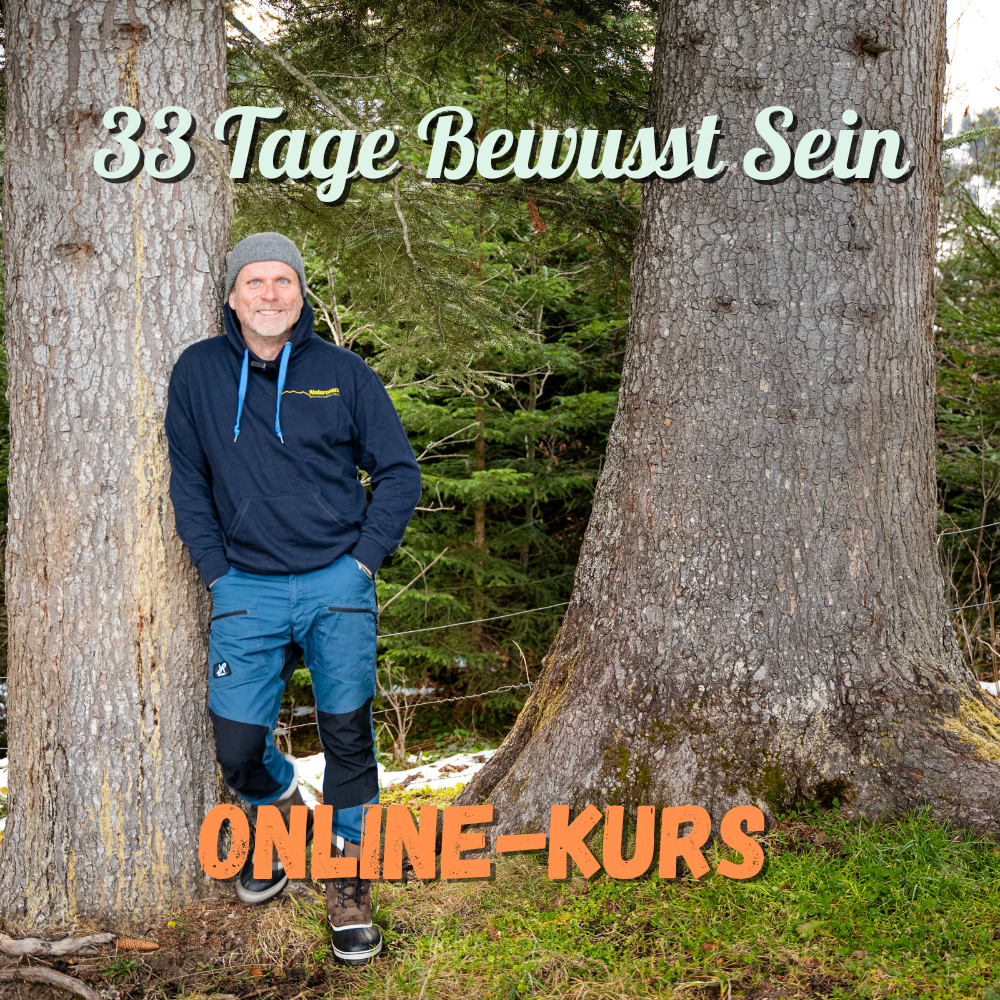Online-Kurs 33 Tage Bewusst Sein