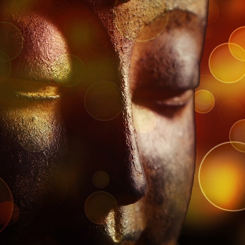 Ohne Titel8-1024x1024.jpg