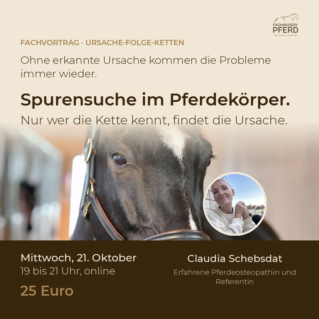flyer_quadrat-1080x1080.jpg