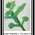 digital-icon