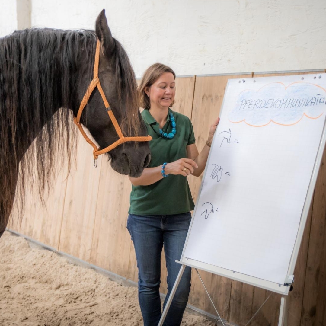 Kein Titel (1922 x 310 px) (1080 x 1080 px)-1080x1080.jpg