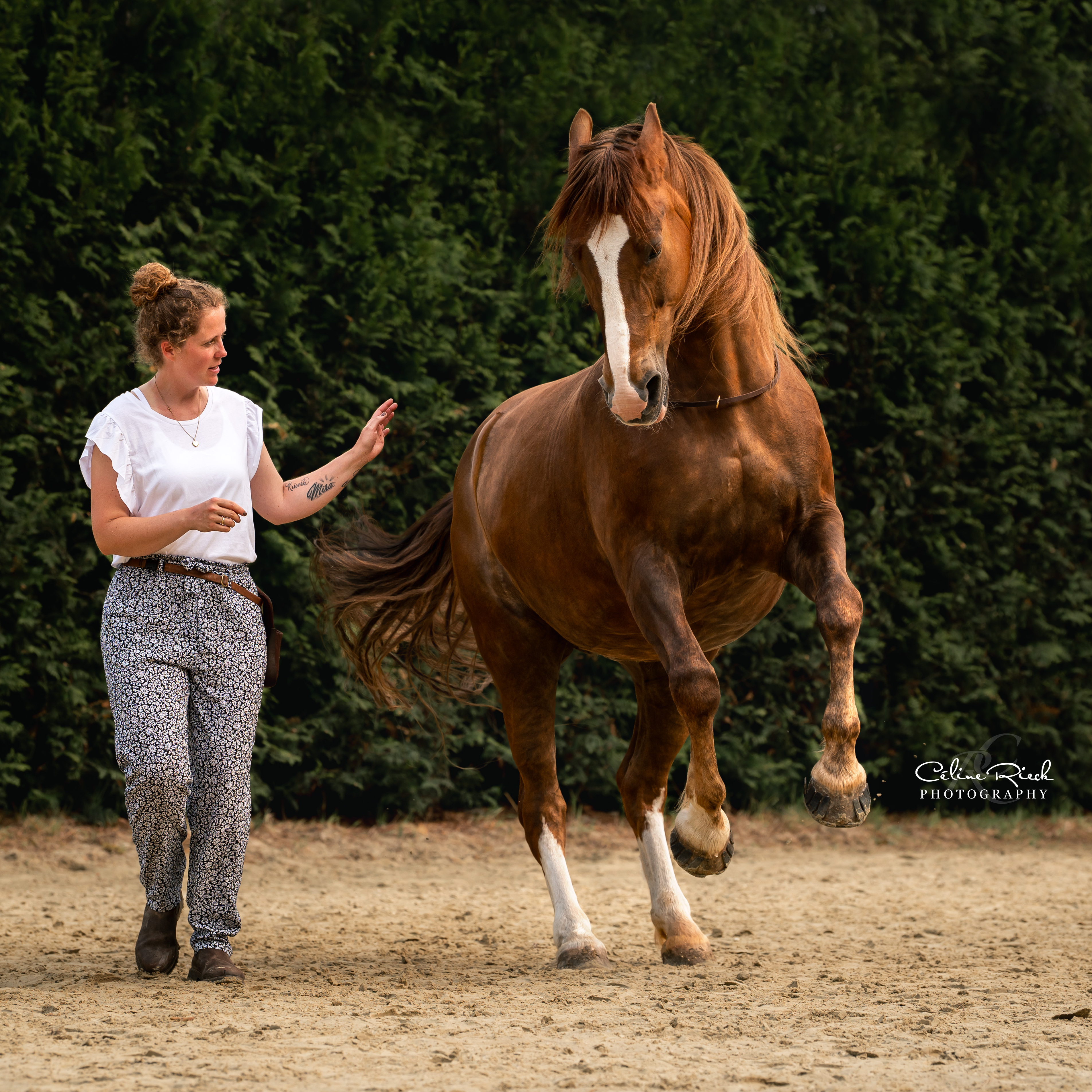 celinerieck_ZCR_1268_20250531_Mareike Frehse_final_web-3810x3810.jpg