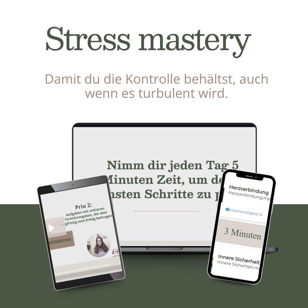 Banner für Onlinekurs Stress 
