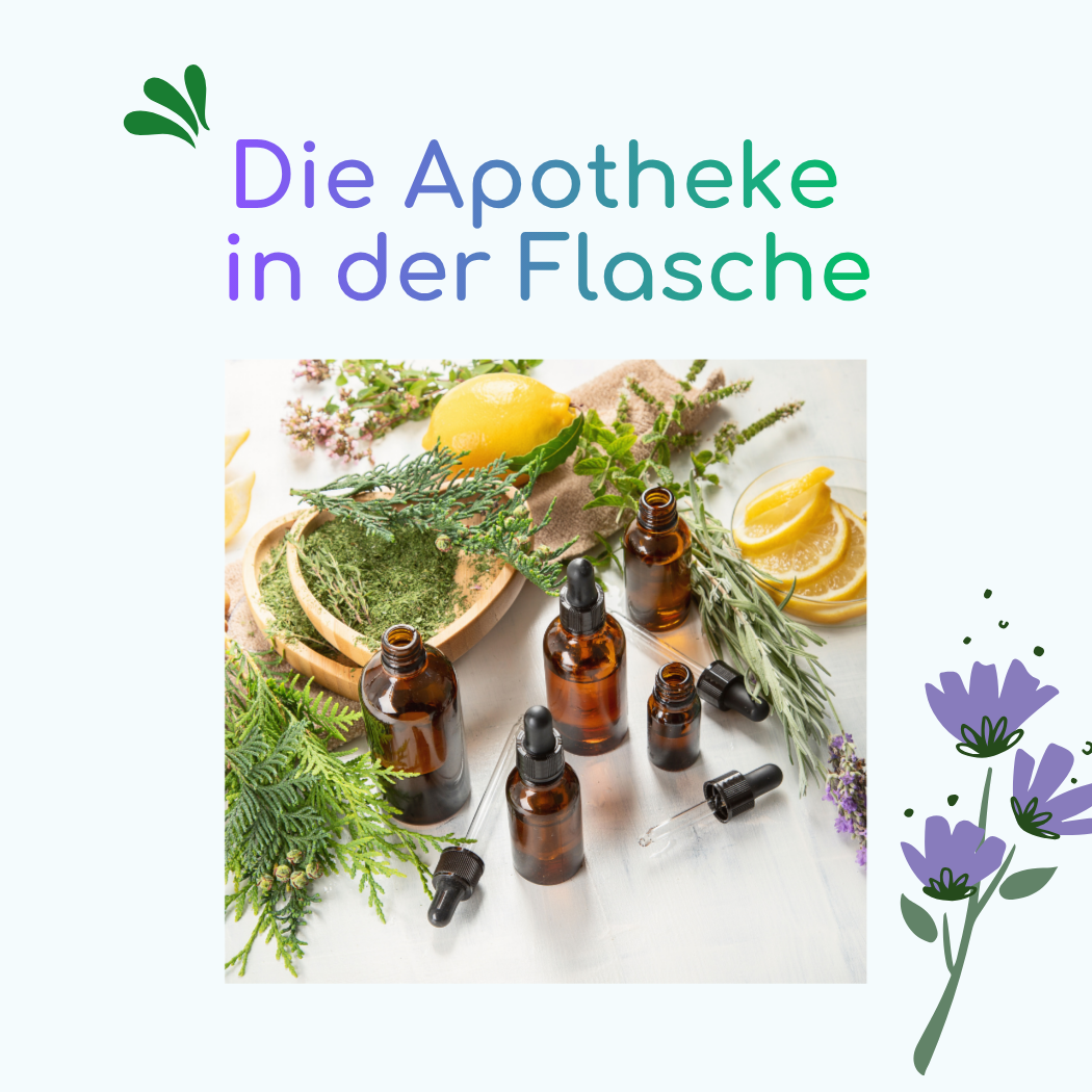 Ein Workshop in Aromakunde