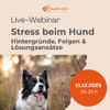 Banner Live-Webinar Stress beim Hund