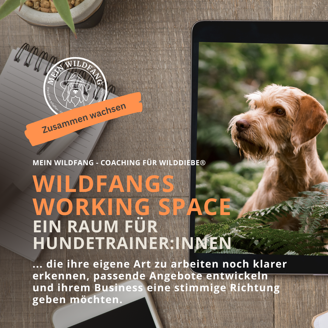 Produktbilder Elopage (10)-1080x1080.png