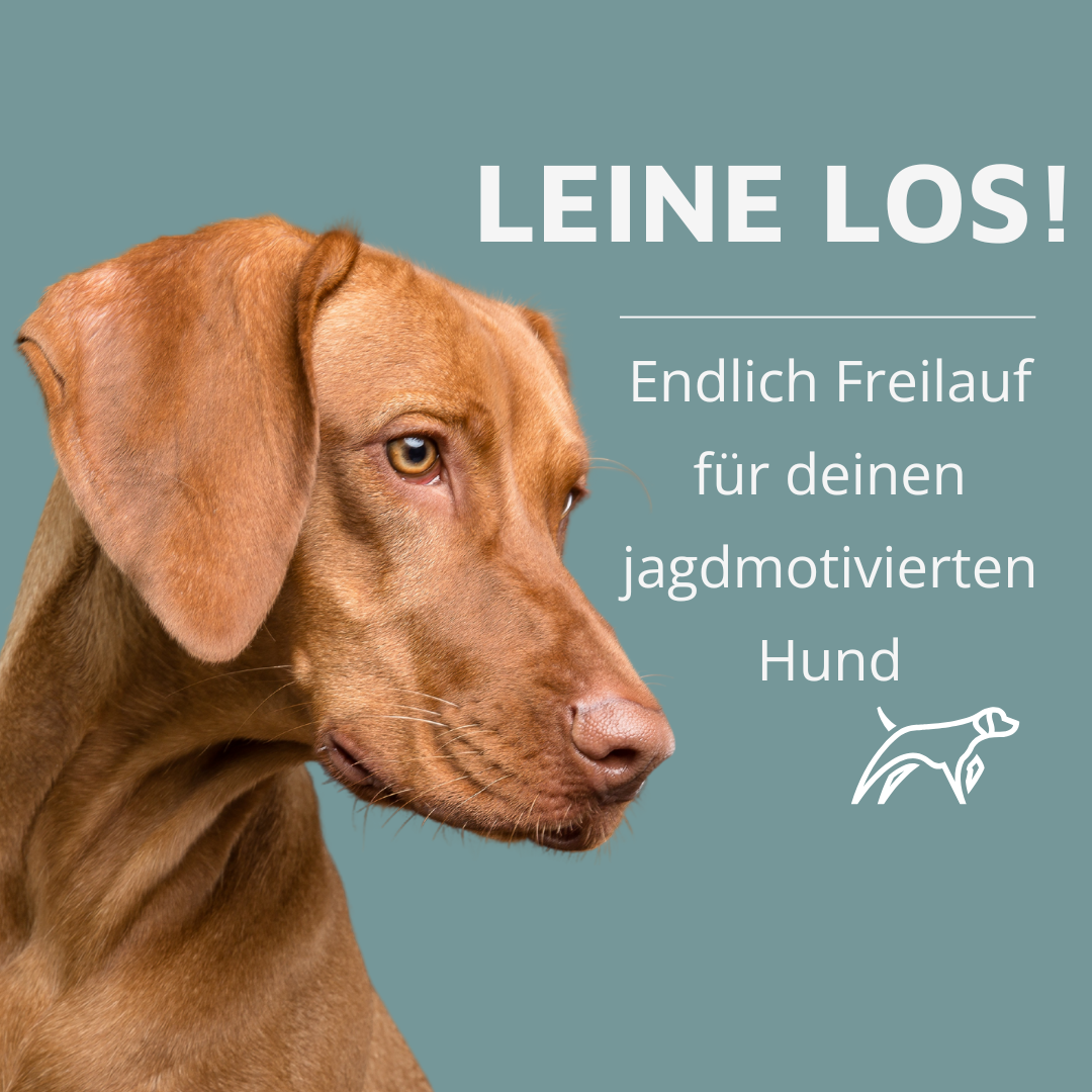 Jagdkurs Post-1080x1080.png