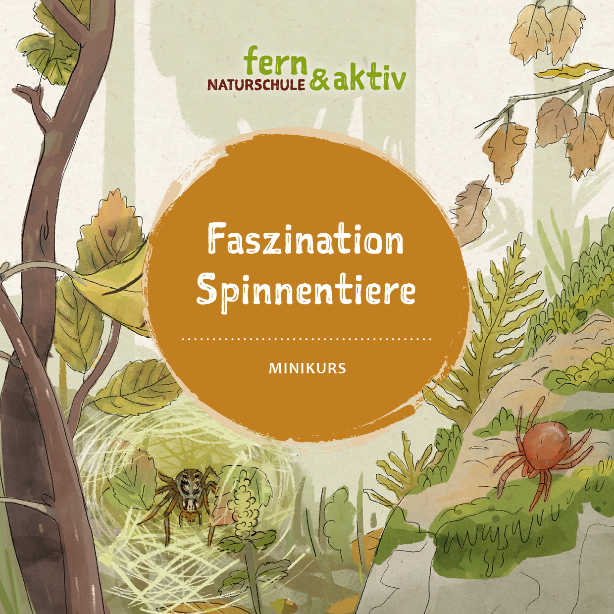 MK Spinnentiere CoverQ-1240x1240.jpg