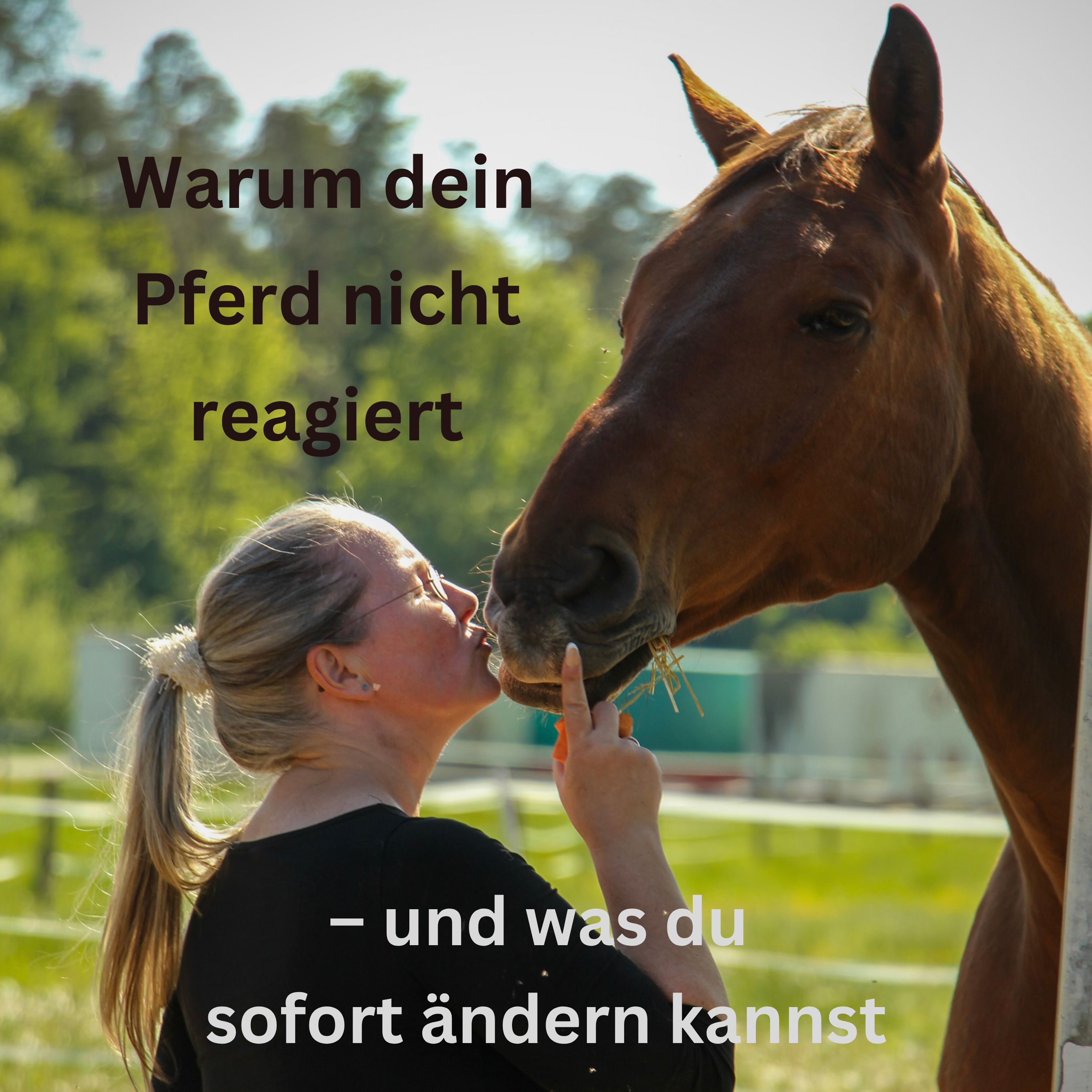 Warum dein Pferd nicht reagiert (3)-2700x2700.png