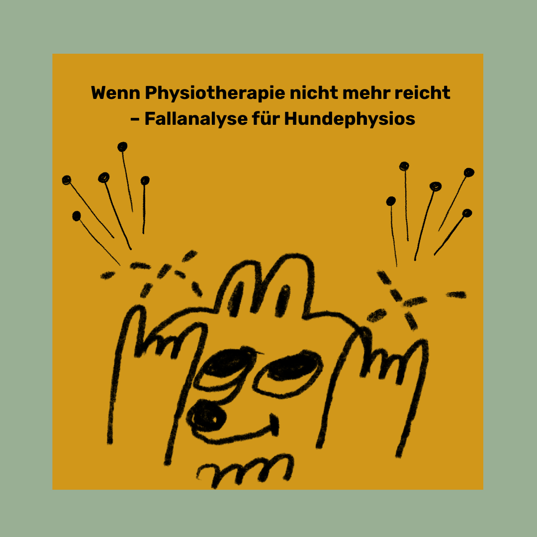 Wenn Physiotherapie nicht mehr reicht – Fallanalyse für Hundephysios.-1080x1080.png